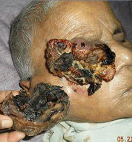 Elderly Indian lady - Photo 5